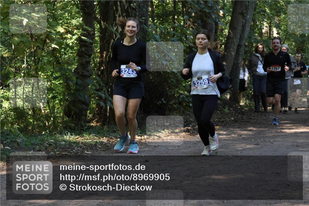 28.09.2025 - 33. Volkslauf durch das schöne Alstertal Strokosch-Dieckow http://msf.ph/oto/8969905 28.09.2025 11:37:51 Laufen 3243, 3259, 1767 meine-sportfotos.de
