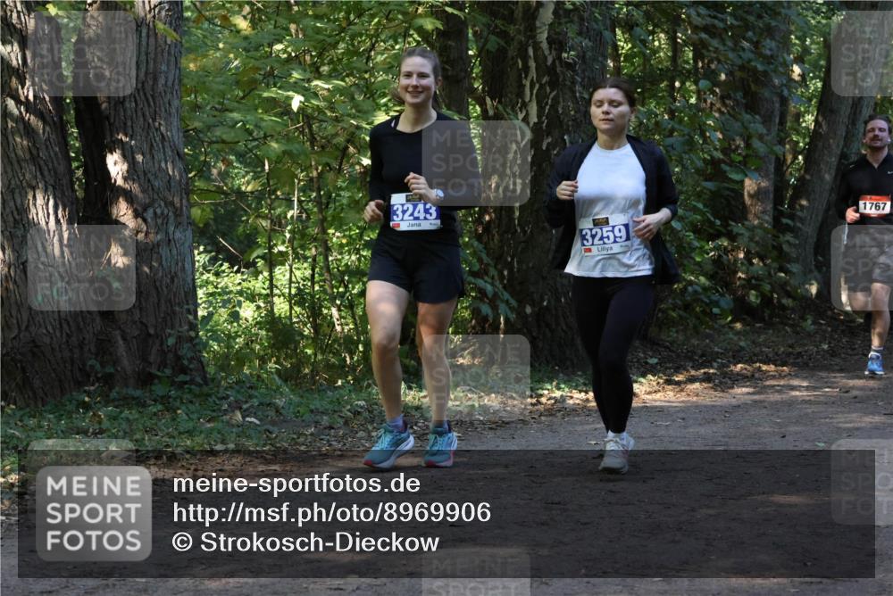 28.09.2025 - 33. Volkslauf durch das schöne Alstertal Strokosch-Dieckow http://msf.ph/oto/8969906 28.09.2025 11:37:52 Laufen 3243, 3259, 1767 meine-sportfotos.de