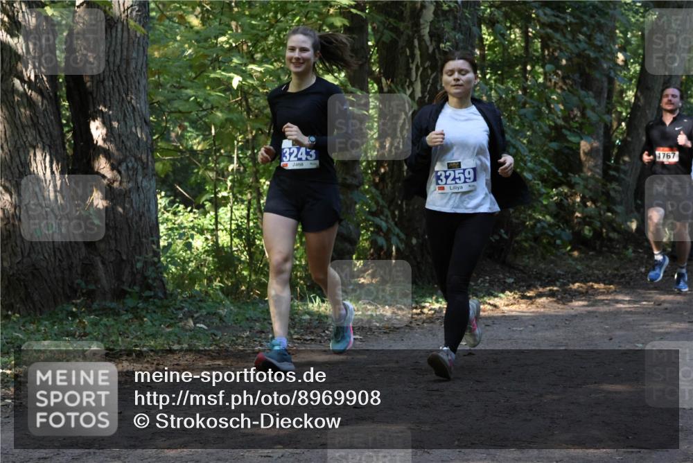 28.09.2025 - 33. Volkslauf durch das schöne Alstertal Strokosch-Dieckow http://msf.ph/oto/8969908 28.09.2025 11:37:52 Laufen 3243, 3259, 1767 meine-sportfotos.de