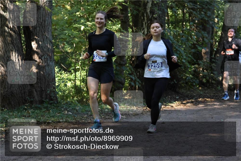 28.09.2025 - 33. Volkslauf durch das schöne Alstertal Strokosch-Dieckow http://msf.ph/oto/8969909 28.09.2025 11:37:52 Laufen 32, 3259, 1767 meine-sportfotos.de