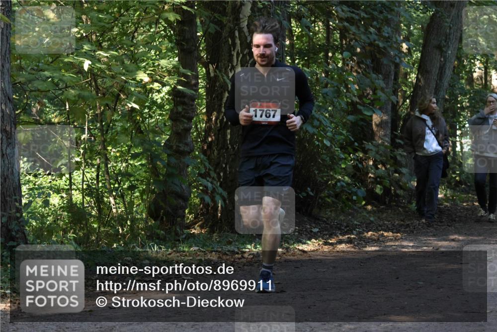 28.09.2025 - 33. Volkslauf durch das schöne Alstertal Strokosch-Dieckow http://msf.ph/oto/8969911 28.09.2025 11:37:54 Laufen 1767 meine-sportfotos.de