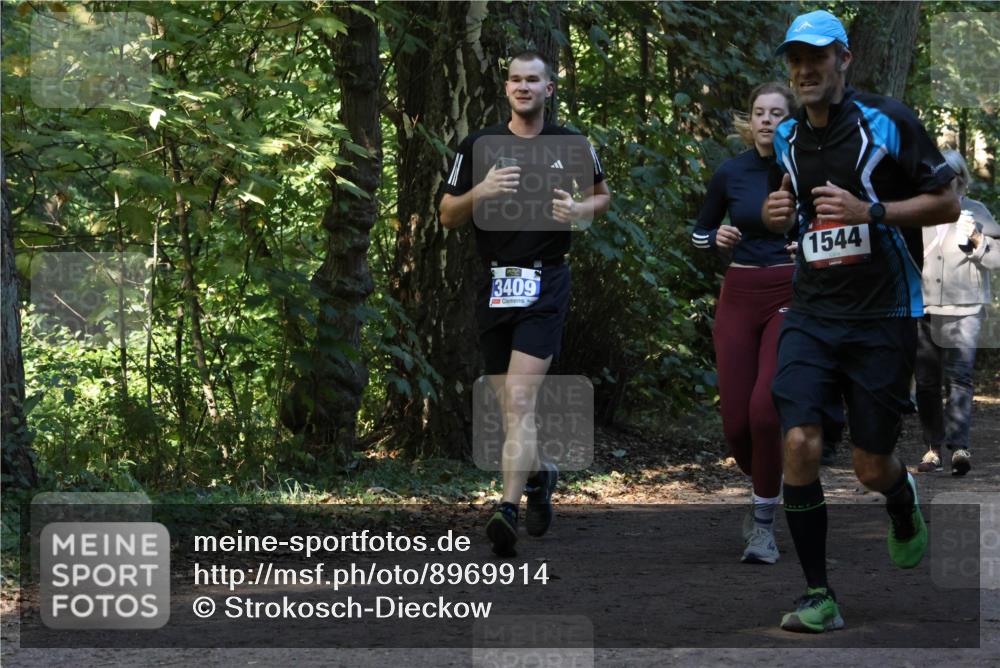 28.09.2025 - 33. Volkslauf durch das schöne Alstertal Strokosch-Dieckow http://msf.ph/oto/8969914 28.09.2025 11:37:58 Laufen 3409, 1544 meine-sportfotos.de