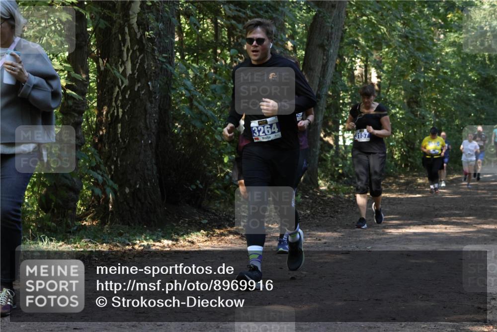 28.09.2025 - 33. Volkslauf durch das schöne Alstertal Strokosch-Dieckow http://msf.ph/oto/8969916 28.09.2025 11:38:07 Laufen 3264, 3157 meine-sportfotos.de