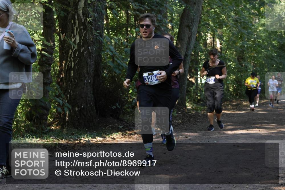 28.09.2025 - 33. Volkslauf durch das schöne Alstertal Strokosch-Dieckow http://msf.ph/oto/8969917 28.09.2025 11:38:07 Laufen 326, 3157 meine-sportfotos.de