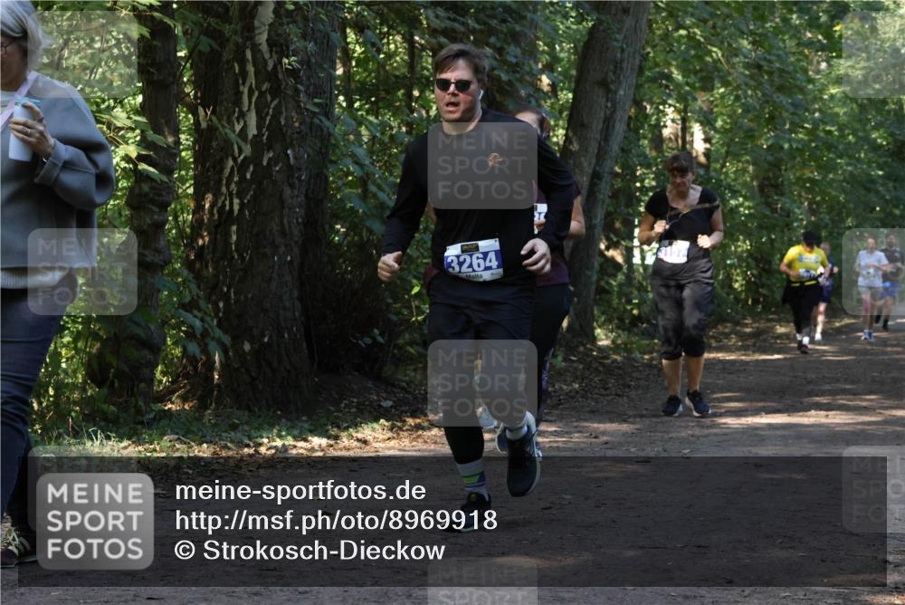28.09.2025 - 33. Volkslauf durch das schöne Alstertal Strokosch-Dieckow http://msf.ph/oto/8969918 28.09.2025 11:38:07 Laufen 3264, 2 meine-sportfotos.de