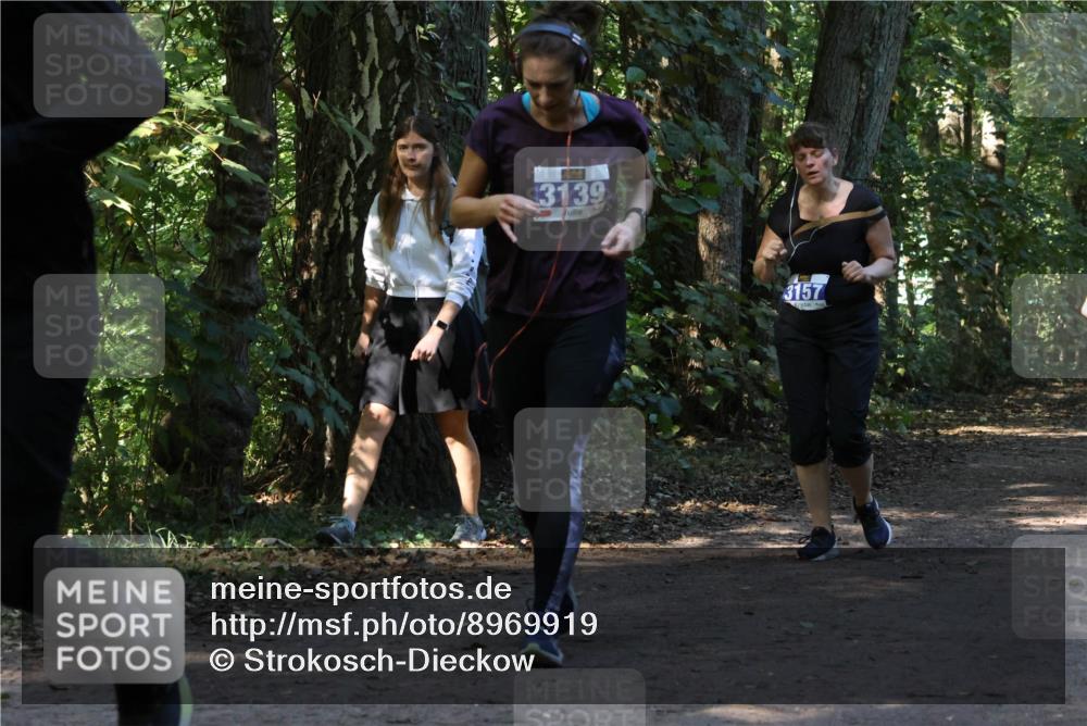 28.09.2025 - 33. Volkslauf durch das schöne Alstertal Strokosch-Dieckow http://msf.ph/oto/8969919 28.09.2025 11:38:08 Laufen 3139, 3157 meine-sportfotos.de
