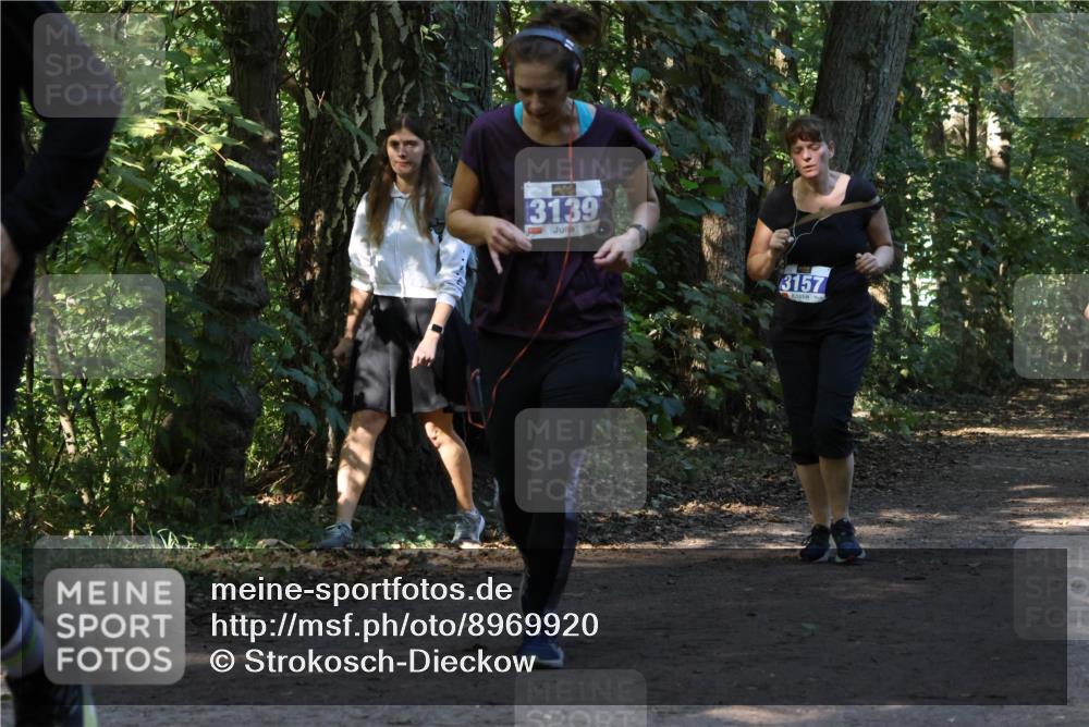 28.09.2025 - 33. Volkslauf durch das schöne Alstertal Strokosch-Dieckow http://msf.ph/oto/8969920 28.09.2025 11:38:08 Laufen 13139, 3157 meine-sportfotos.de