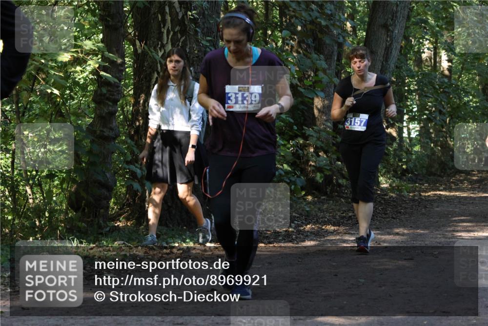 28.09.2025 - 33. Volkslauf durch das schöne Alstertal Strokosch-Dieckow http://msf.ph/oto/8969921 28.09.2025 11:38:08 Laufen 3139, 3157 meine-sportfotos.de