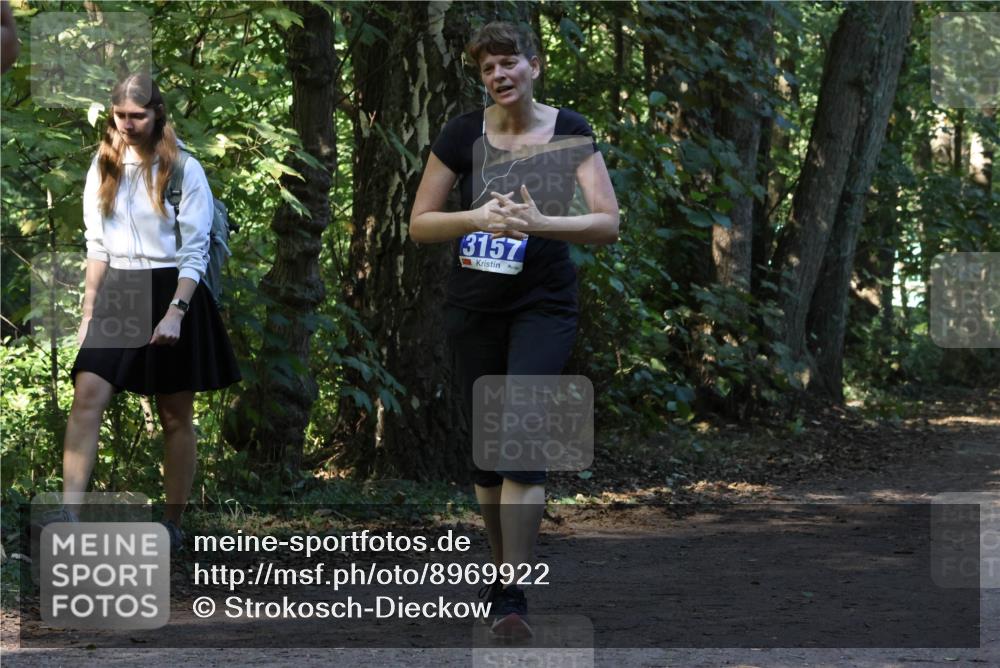 28.09.2025 - 33. Volkslauf durch das schöne Alstertal Strokosch-Dieckow http://msf.ph/oto/8969922 28.09.2025 11:38:11 Laufen 3157 meine-sportfotos.de