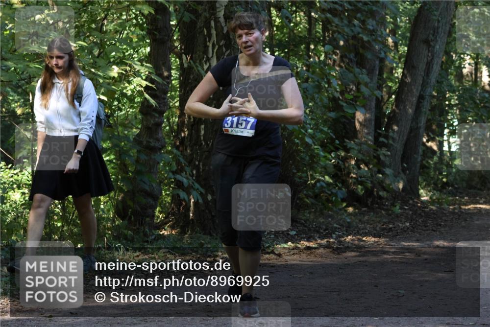 28.09.2025 - 33. Volkslauf durch das schöne Alstertal Strokosch-Dieckow http://msf.ph/oto/8969925 28.09.2025 11:38:11 Laufen 3157 meine-sportfotos.de