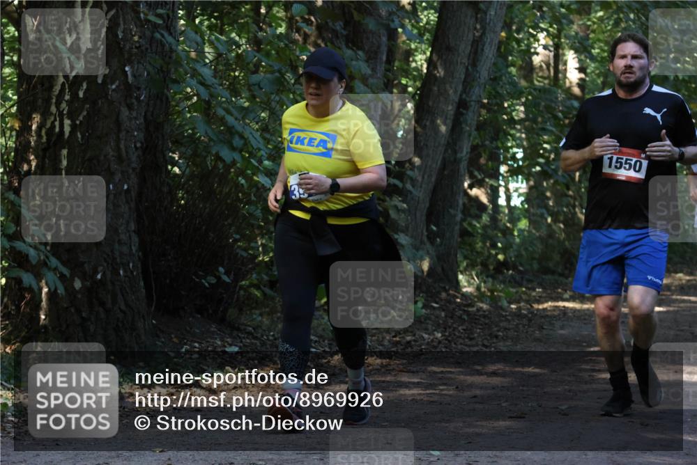28.09.2025 - 33. Volkslauf durch das schöne Alstertal Strokosch-Dieckow http://msf.ph/oto/8969926 28.09.2025 11:38:17 Laufen 33, 1550 meine-sportfotos.de