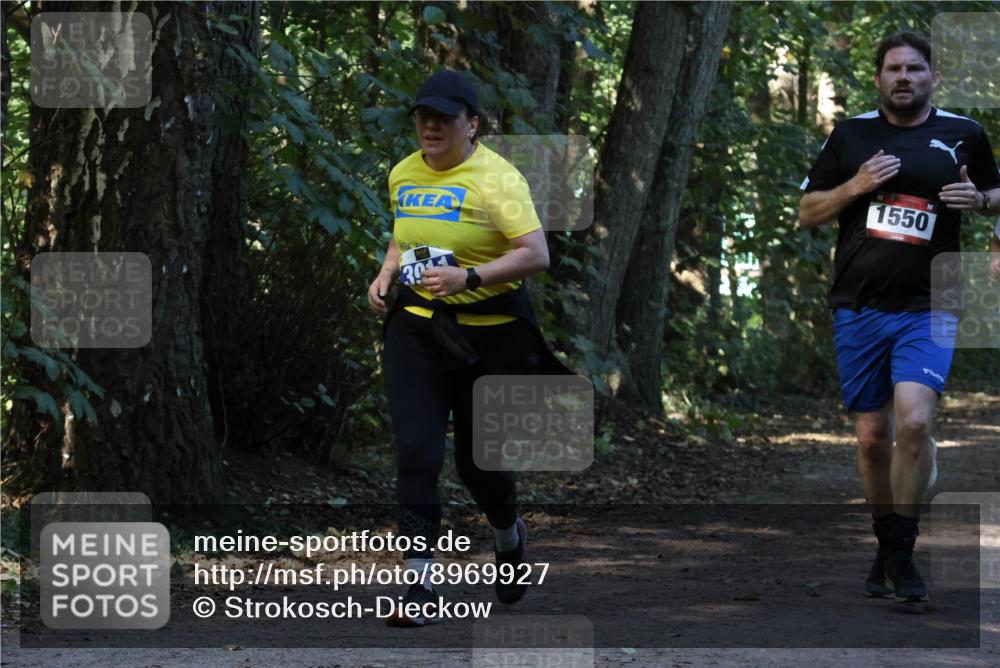 28.09.2025 - 33. Volkslauf durch das schöne Alstertal Strokosch-Dieckow http://msf.ph/oto/8969927 28.09.2025 11:38:17 Laufen 1550, 30 meine-sportfotos.de