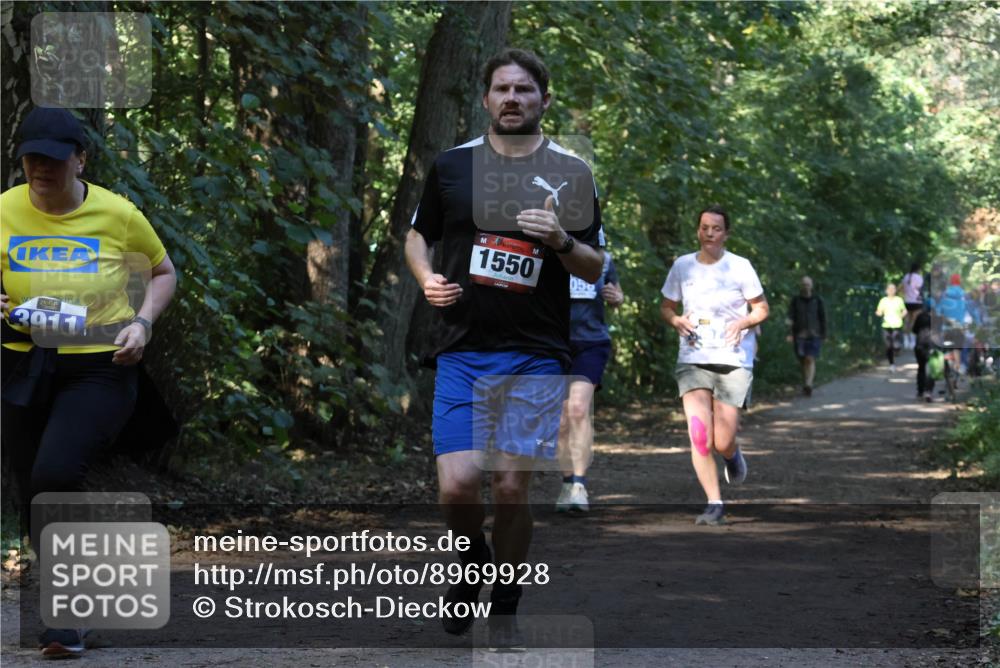 28.09.2025 - 33. Volkslauf durch das schöne Alstertal Strokosch-Dieckow http://msf.ph/oto/8969928 28.09.2025 11:38:18 Laufen 3911, 1550, 059 meine-sportfotos.de