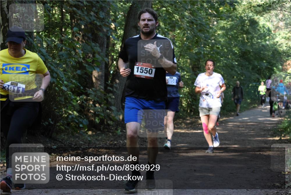 28.09.2025 - 33. Volkslauf durch das schöne Alstertal Strokosch-Dieckow http://msf.ph/oto/8969929 28.09.2025 11:38:18 Laufen 3911, 1550, 9058 meine-sportfotos.de
