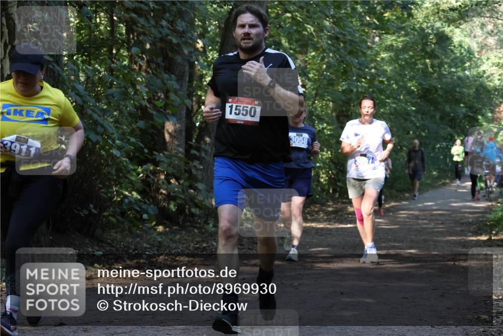 28.09.2025 - 33. Volkslauf durch das schöne Alstertal Strokosch-Dieckow http://msf.ph/oto/8969930 28.09.2025 11:38:18 Laufen 1550, 3911, 3058 meine-sportfotos.de