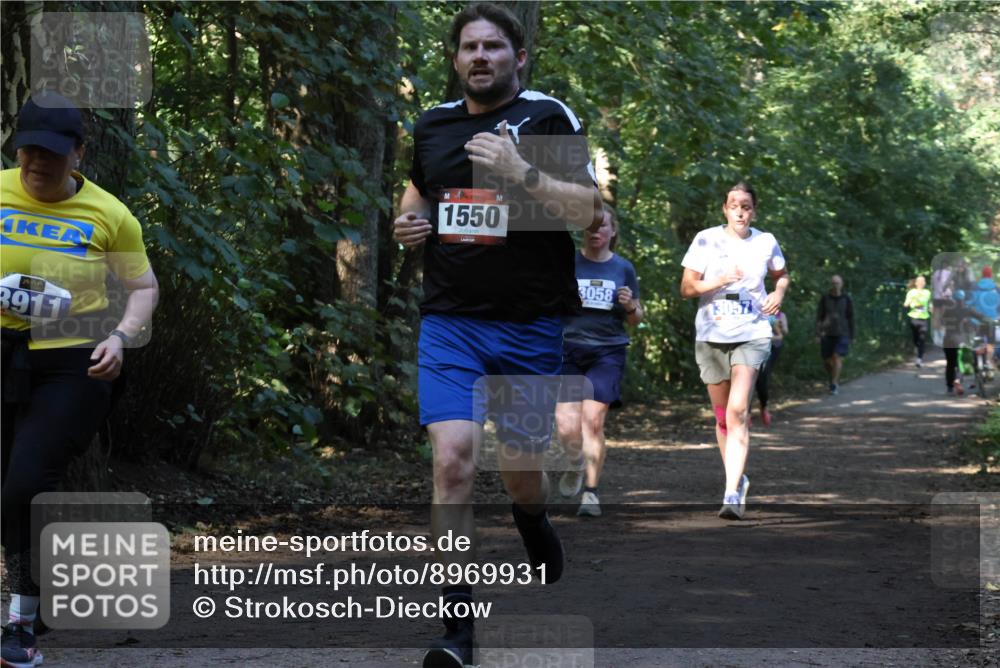 28.09.2025 - 33. Volkslauf durch das schöne Alstertal Strokosch-Dieckow http://msf.ph/oto/8969931 28.09.2025 11:38:18 Laufen 3911, 1550, 3058, 13057 meine-sportfotos.de