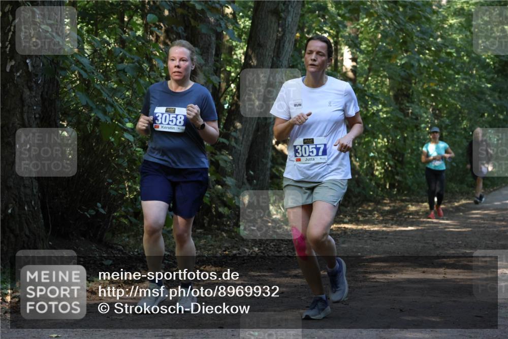 28.09.2025 - 33. Volkslauf durch das schöne Alstertal Strokosch-Dieckow http://msf.ph/oto/8969932 28.09.2025 11:38:20 Laufen 3058, 3057 meine-sportfotos.de