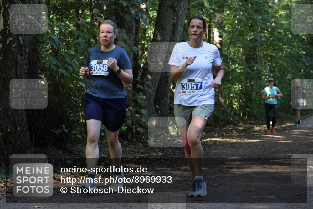 28.09.2025 - 33. Volkslauf durch das schöne Alstertal Strokosch-Dieckow http://msf.ph/oto/8969933 28.09.2025 11:38:20 Laufen 3058, 3057 meine-sportfotos.de