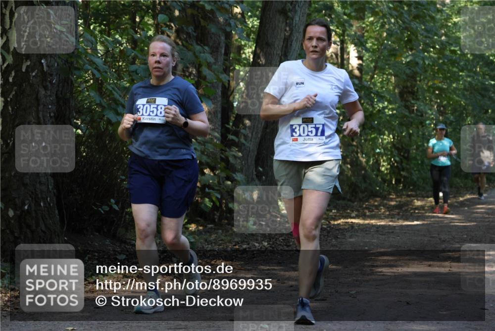 28.09.2025 - 33. Volkslauf durch das schöne Alstertal Strokosch-Dieckow http://msf.ph/oto/8969935 28.09.2025 11:38:20 Laufen 3058, 3057 meine-sportfotos.de