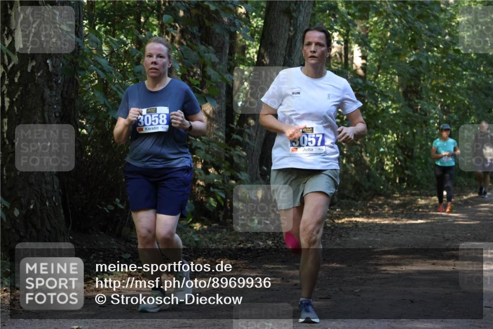 28.09.2025 - 33. Volkslauf durch das schöne Alstertal Strokosch-Dieckow http://msf.ph/oto/8969936 28.09.2025 11:38:20 Laufen 3058, 3057 meine-sportfotos.de