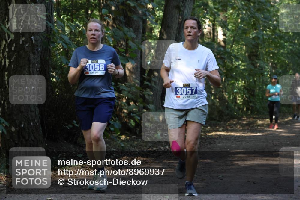 28.09.2025 - 33. Volkslauf durch das schöne Alstertal Strokosch-Dieckow http://msf.ph/oto/8969937 28.09.2025 11:38:20 Laufen 3058, 3057, 1, 60 meine-sportfotos.de