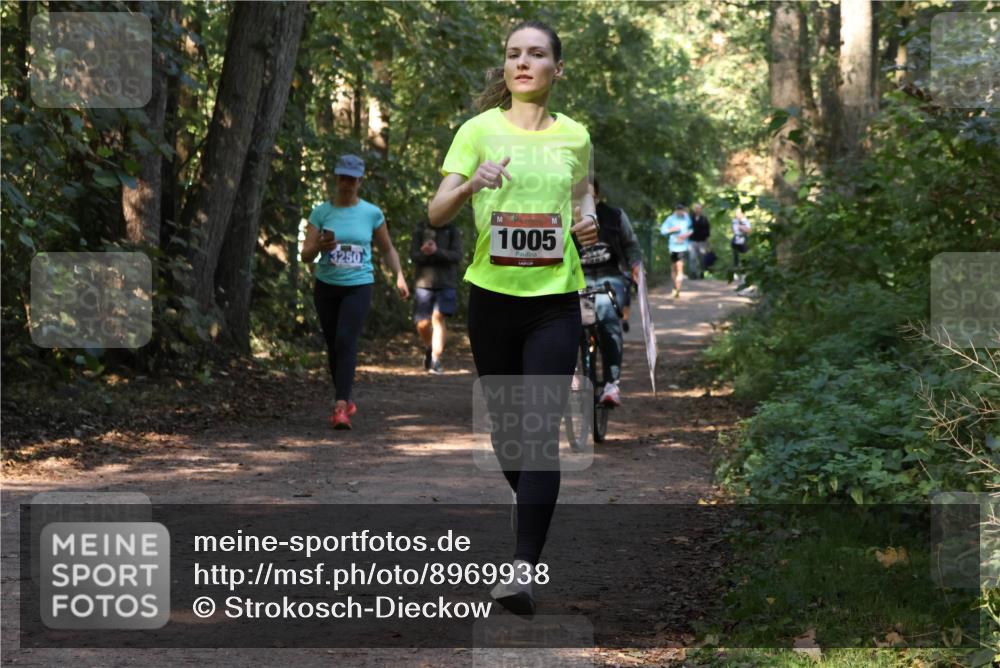 28.09.2025 - 33. Volkslauf durch das schöne Alstertal Strokosch-Dieckow http://msf.ph/oto/8969938 28.09.2025 11:38:34 Laufen 3250, 1005 meine-sportfotos.de