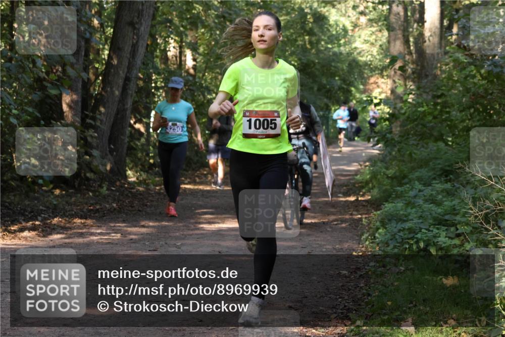 28.09.2025 - 33. Volkslauf durch das schöne Alstertal Strokosch-Dieckow http://msf.ph/oto/8969939 28.09.2025 11:38:34 Laufen 1005 meine-sportfotos.de