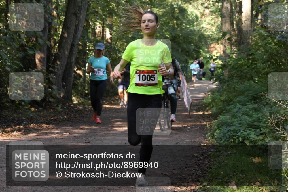 28.09.2025 - 33. Volkslauf durch das schöne Alstertal Strokosch-Dieckow http://msf.ph/oto/8969940 28.09.2025 11:38:34 Laufen 1005 meine-sportfotos.de