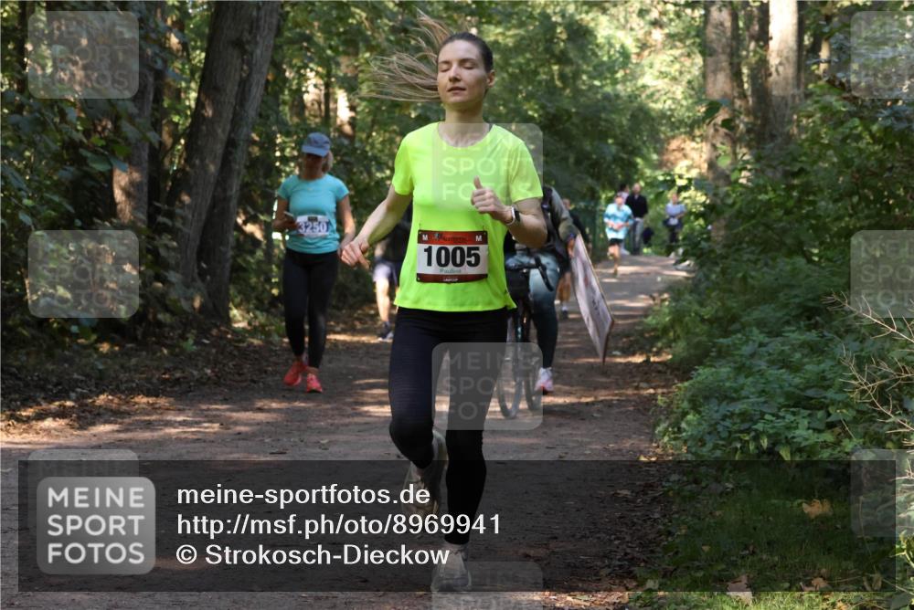 28.09.2025 - 33. Volkslauf durch das schöne Alstertal Strokosch-Dieckow http://msf.ph/oto/8969941 28.09.2025 11:38:34 Laufen 3250, 1005 meine-sportfotos.de