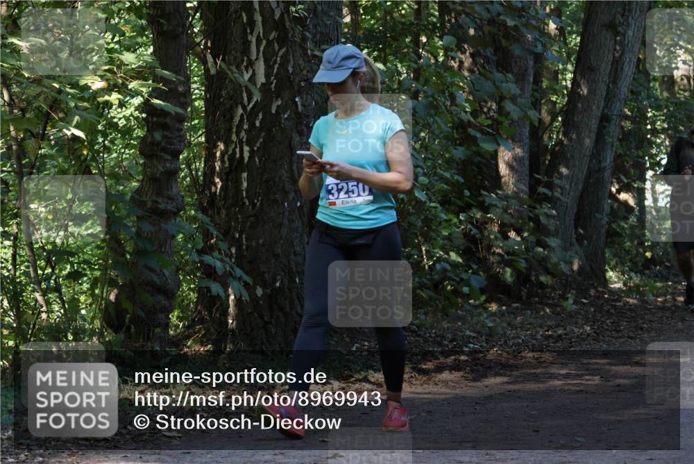 28.09.2025 - 33. Volkslauf durch das schöne Alstertal Strokosch-Dieckow http://msf.ph/oto/8969943 28.09.2025 11:38:39 Laufen 3250 meine-sportfotos.de