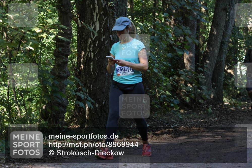 28.09.2025 - 33. Volkslauf durch das schöne Alstertal Strokosch-Dieckow http://msf.ph/oto/8969944 28.09.2025 11:38:40 Laufen 3250 meine-sportfotos.de