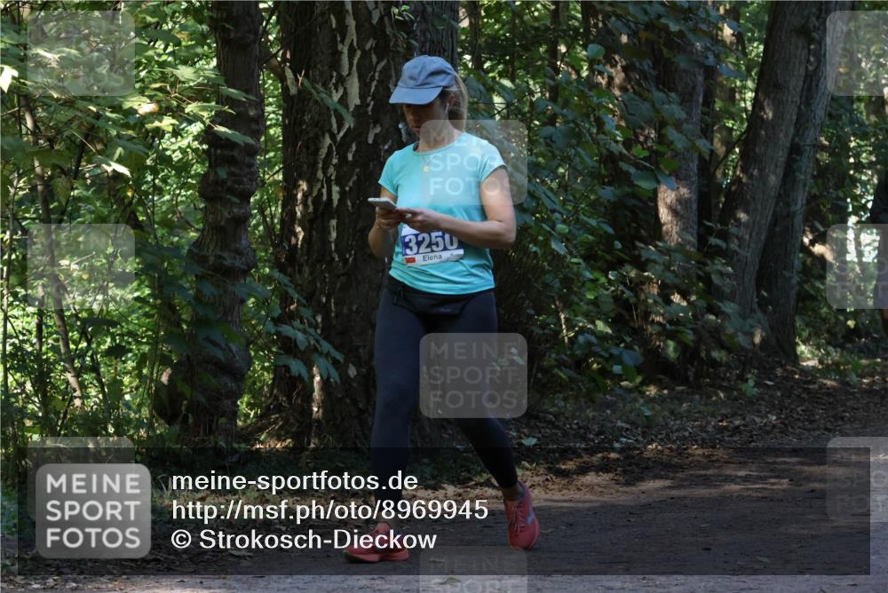 28.09.2025 - 33. Volkslauf durch das schöne Alstertal Strokosch-Dieckow http://msf.ph/oto/8969945 28.09.2025 11:38:40 Laufen 3250 meine-sportfotos.de