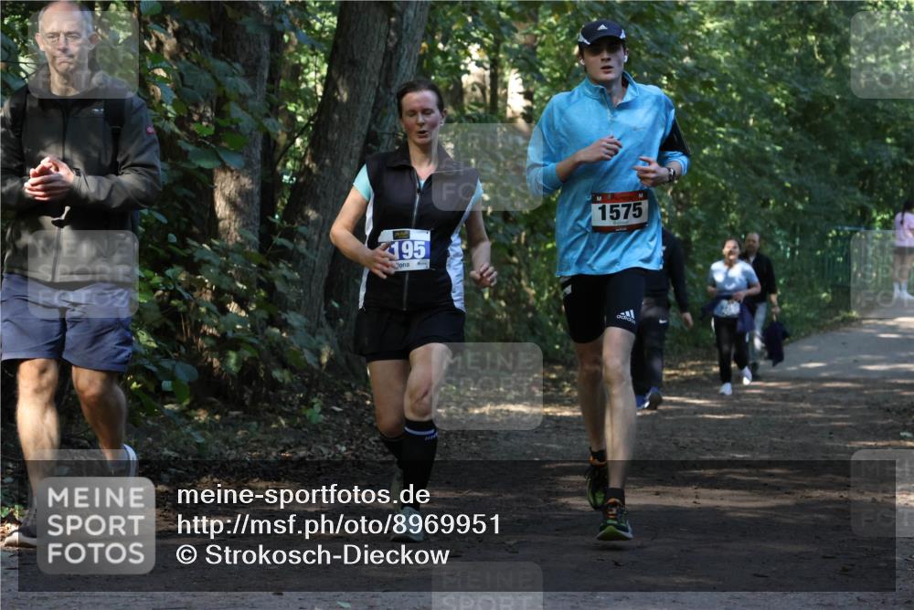 28.09.2025 - 33. Volkslauf durch das schöne Alstertal Strokosch-Dieckow http://msf.ph/oto/8969951 28.09.2025 11:38:47 Laufen 195, 1575 meine-sportfotos.de