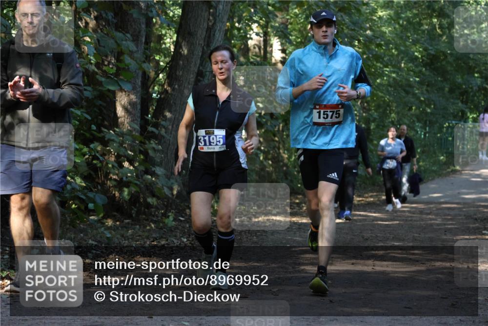 28.09.2025 - 33. Volkslauf durch das schöne Alstertal Strokosch-Dieckow http://msf.ph/oto/8969952 28.09.2025 11:38:47 Laufen 3195, 1575 meine-sportfotos.de