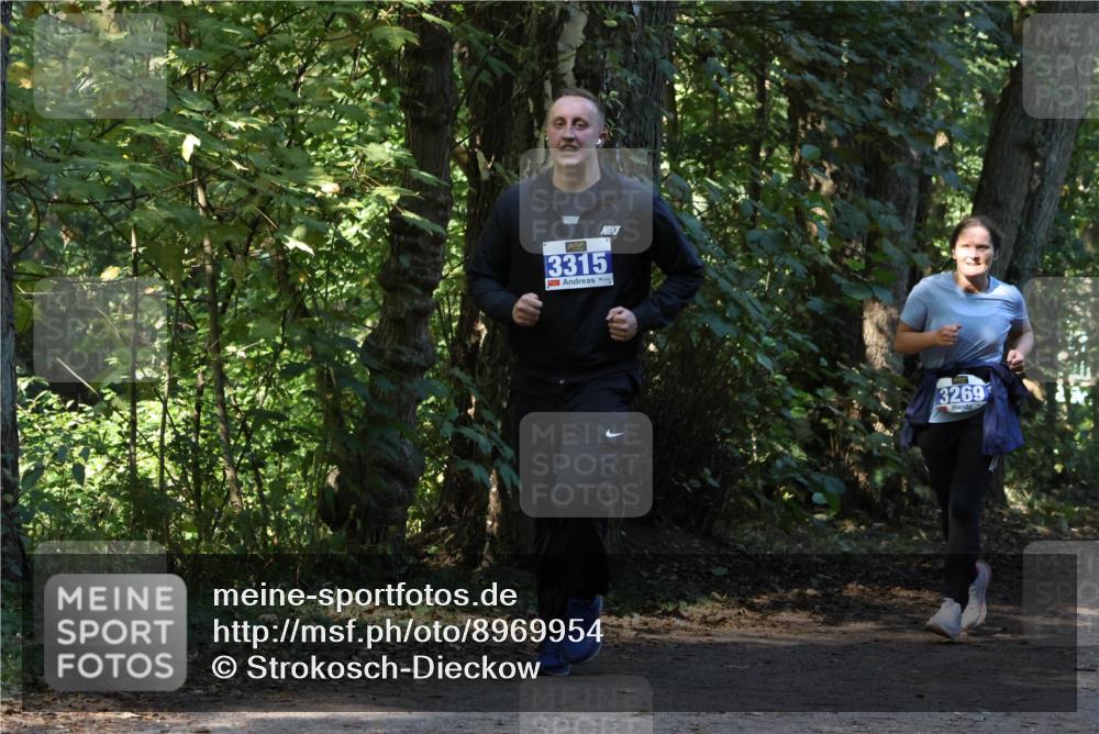 28.09.2025 - 33. Volkslauf durch das schöne Alstertal Strokosch-Dieckow http://msf.ph/oto/8969954 28.09.2025 11:38:59 Laufen 3315, 3269 meine-sportfotos.de
