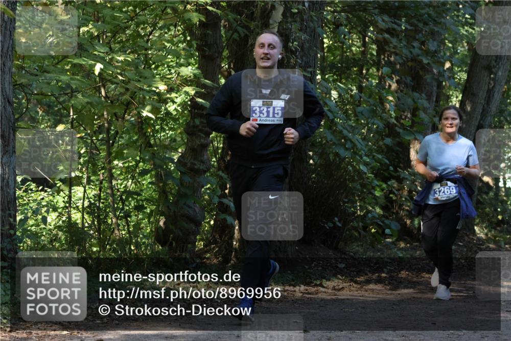 28.09.2025 - 33. Volkslauf durch das schöne Alstertal Strokosch-Dieckow http://msf.ph/oto/8969956 28.09.2025 11:38:59 Laufen 3315, 3269 meine-sportfotos.de