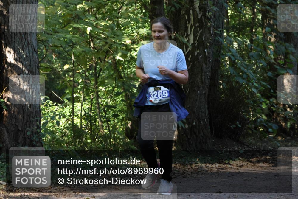 28.09.2025 - 33. Volkslauf durch das schöne Alstertal Strokosch-Dieckow http://msf.ph/oto/8969960 28.09.2025 11:39:01 Laufen 3269 meine-sportfotos.de
