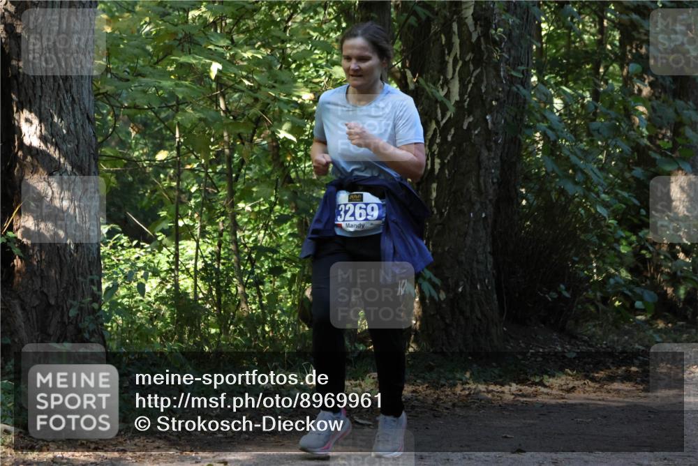 28.09.2025 - 33. Volkslauf durch das schöne Alstertal Strokosch-Dieckow http://msf.ph/oto/8969961 28.09.2025 11:39:01 Laufen 3269 meine-sportfotos.de