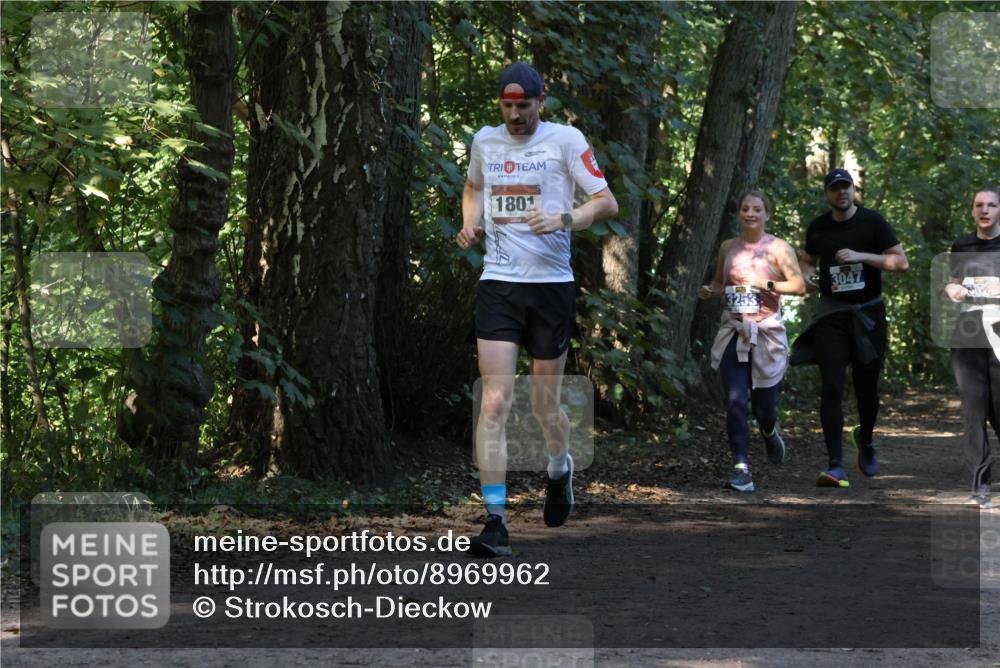 28.09.2025 - 33. Volkslauf durch das schöne Alstertal Strokosch-Dieckow http://msf.ph/oto/8969962 28.09.2025 11:39:14 Laufen 1801, 3047, 3253 meine-sportfotos.de