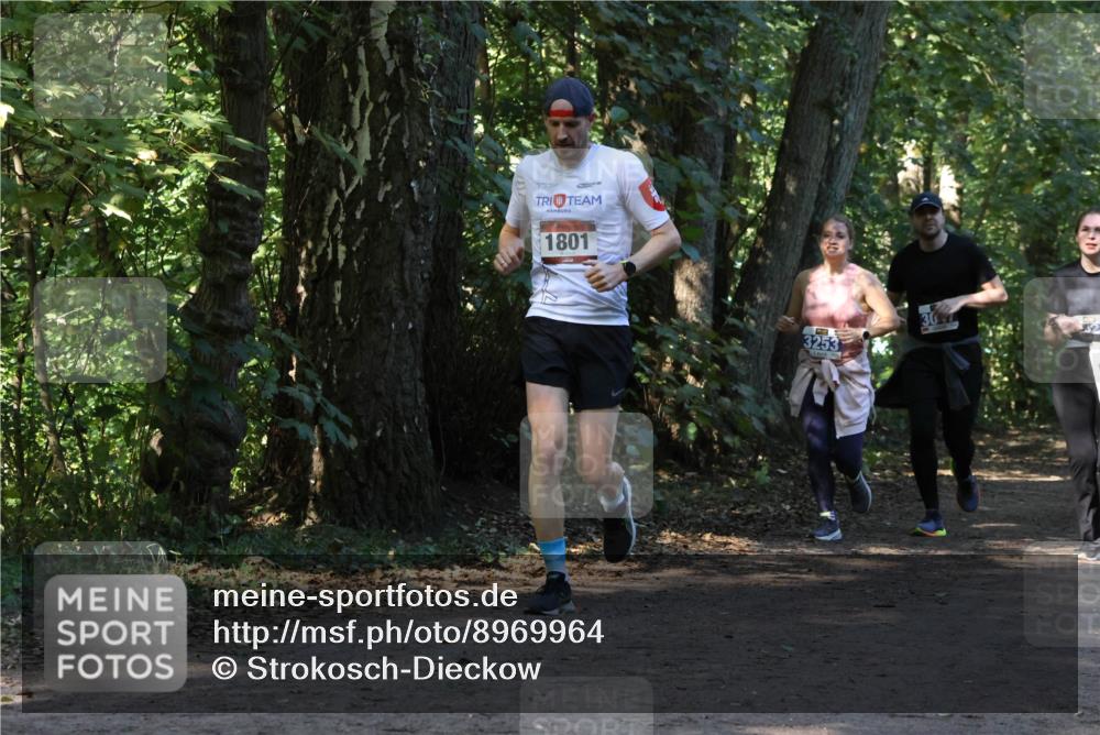28.09.2025 - 33. Volkslauf durch das schöne Alstertal Strokosch-Dieckow http://msf.ph/oto/8969964 28.09.2025 11:39:14 Laufen 1801, 307, 3253 meine-sportfotos.de