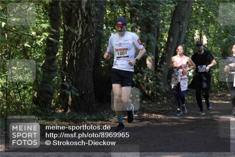 28.09.2025 - 33. Volkslauf durch das schöne Alstertal Strokosch-Dieckow http://msf.ph/oto/8969965 28.09.2025 11:39:14 Laufen 1801, 3047, 3253 meine-sportfotos.de