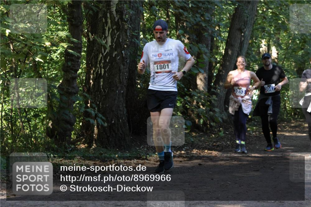 28.09.2025 - 33. Volkslauf durch das schöne Alstertal Strokosch-Dieckow http://msf.ph/oto/8969966 28.09.2025 11:39:14 Laufen 1801, 3253, 3047 meine-sportfotos.de