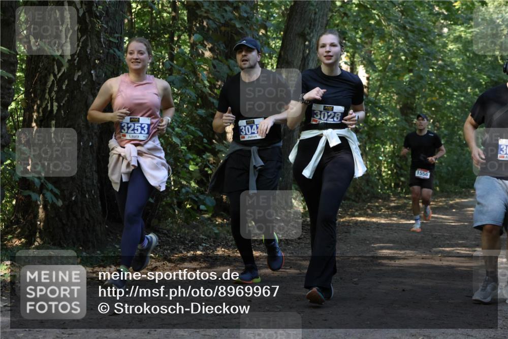 28.09.2025 - 33. Volkslauf durch das schöne Alstertal Strokosch-Dieckow http://msf.ph/oto/8969967 28.09.2025 11:39:16 Laufen 3253, 304, 3028, 1556 meine-sportfotos.de
