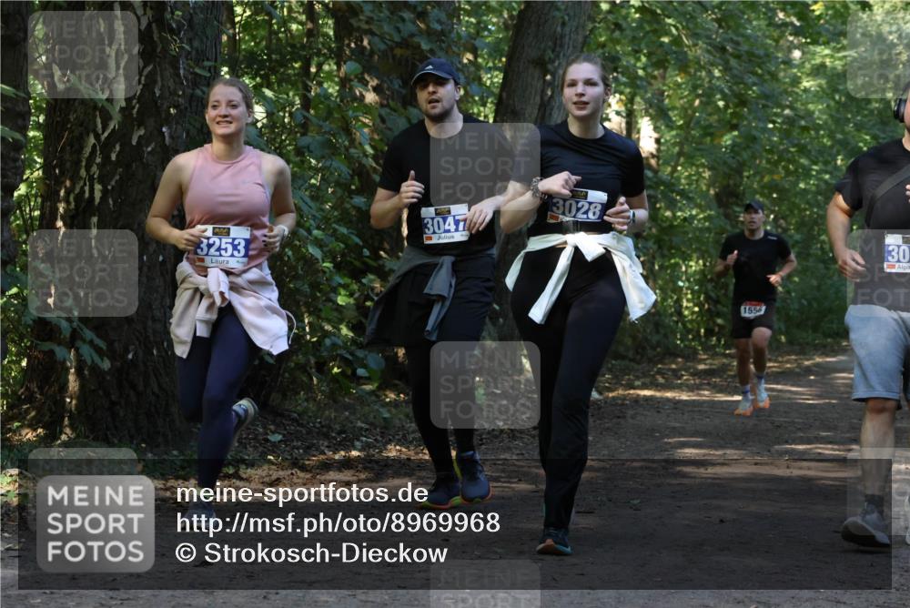 28.09.2025 - 33. Volkslauf durch das schöne Alstertal Strokosch-Dieckow http://msf.ph/oto/8969968 28.09.2025 11:39:16 Laufen 3253, 3047, 3028, 1556, 30 meine-sportfotos.de