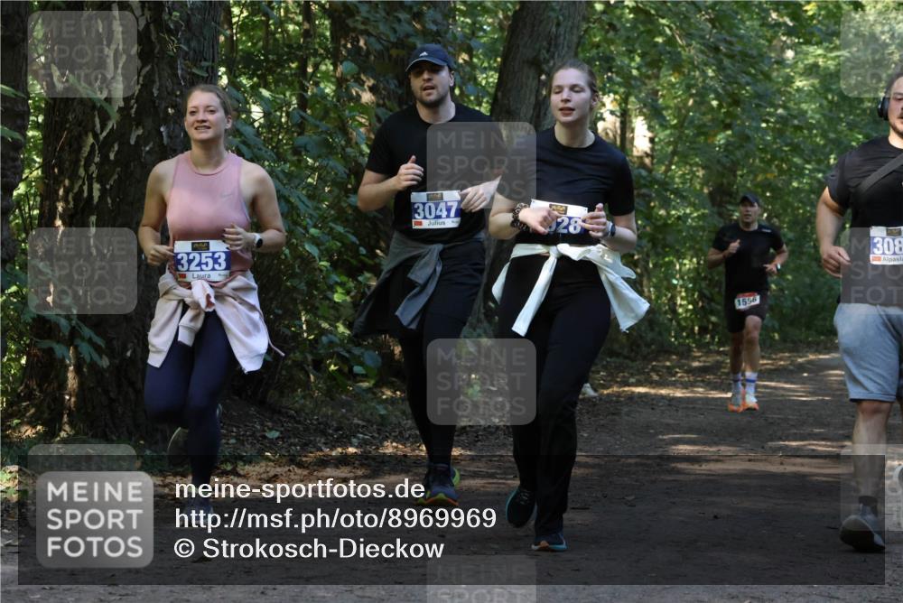 28.09.2025 - 33. Volkslauf durch das schöne Alstertal Strokosch-Dieckow http://msf.ph/oto/8969969 28.09.2025 11:39:16 Laufen 3253, 3047, 28, 1556, 308 meine-sportfotos.de