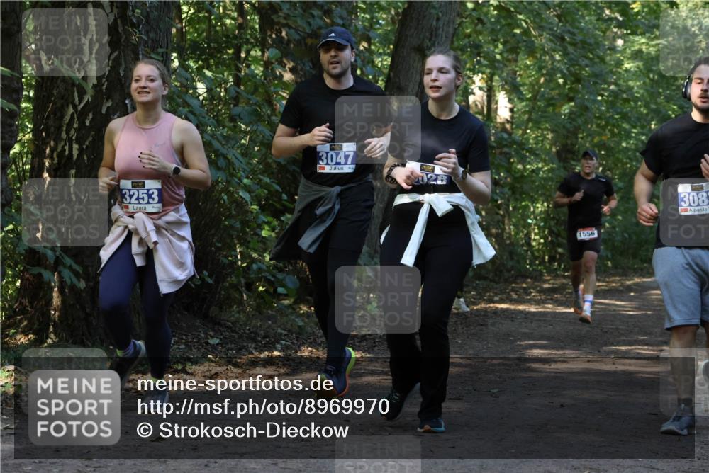 28.09.2025 - 33. Volkslauf durch das schöne Alstertal Strokosch-Dieckow http://msf.ph/oto/8969970 28.09.2025 11:39:17 Laufen 3253, 3047, 1556, 308 meine-sportfotos.de