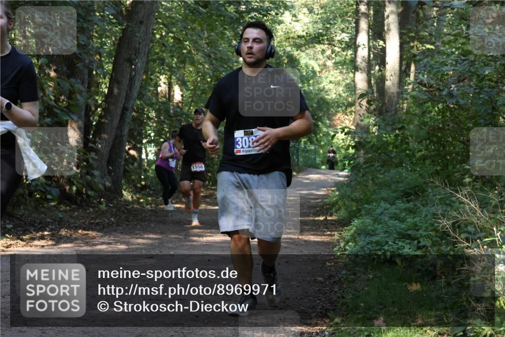 28.09.2025 - 33. Volkslauf durch das schöne Alstertal Strokosch-Dieckow http://msf.ph/oto/8969971 28.09.2025 11:39:18 Laufen 1556, 308 meine-sportfotos.de
