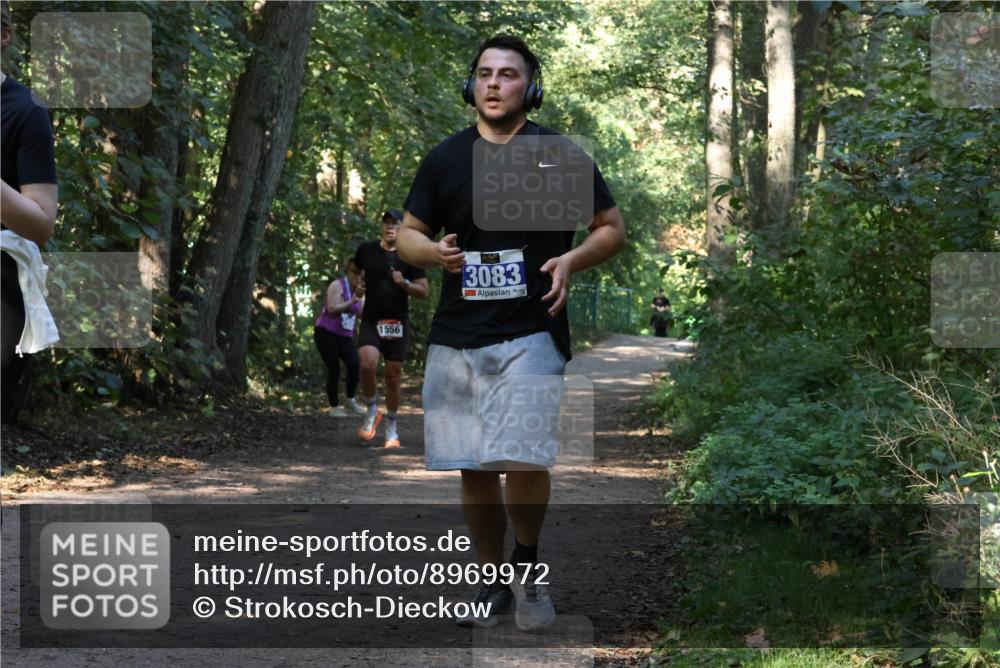 28.09.2025 - 33. Volkslauf durch das schöne Alstertal Strokosch-Dieckow http://msf.ph/oto/8969972 28.09.2025 11:39:18 Laufen 1556, 3083 meine-sportfotos.de