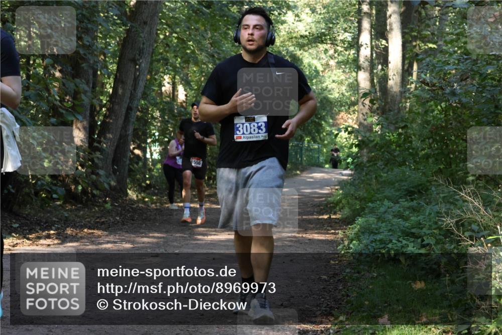 28.09.2025 - 33. Volkslauf durch das schöne Alstertal Strokosch-Dieckow http://msf.ph/oto/8969973 28.09.2025 11:39:18 Laufen 1556, 3083 meine-sportfotos.de
