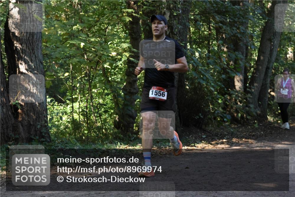 28.09.2025 - 33. Volkslauf durch das schöne Alstertal Strokosch-Dieckow http://msf.ph/oto/8969974 28.09.2025 11:39:22 Laufen 1556 meine-sportfotos.de